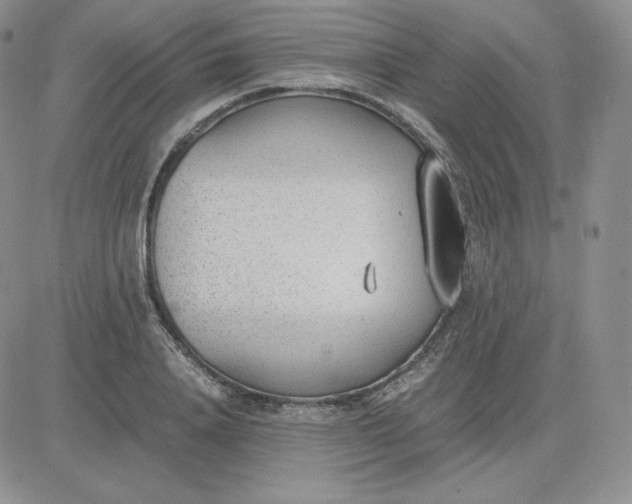 X0000081290840200701251651