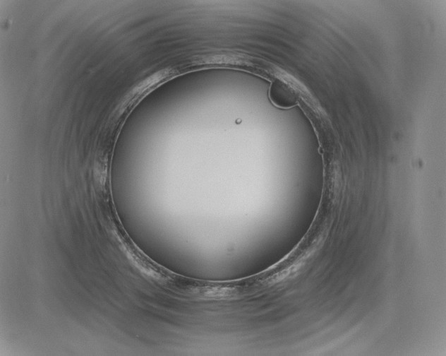 X0000081290841200701251651