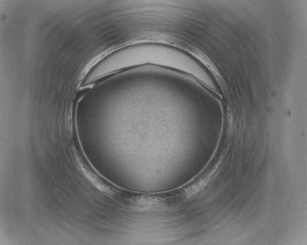 X0000081290842200701251651