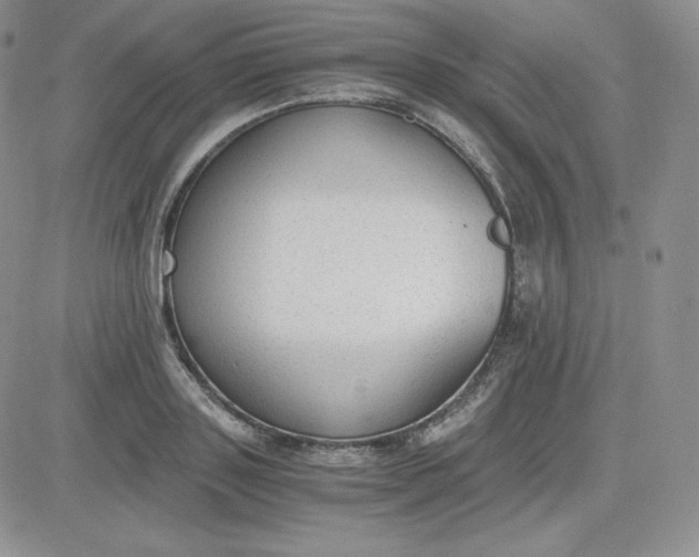 X0000081290843200701251651