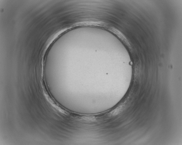 X0000081290844200701251651