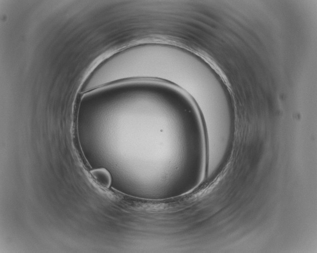 X0000081290845200701251651