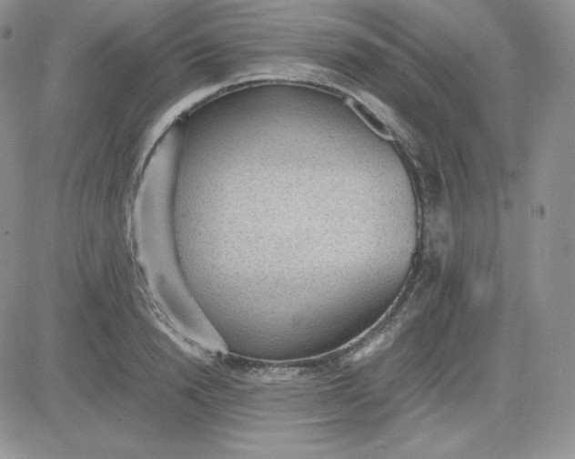 X0000081290846200701251651