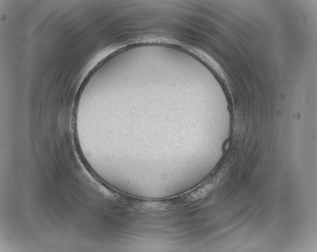 X0000081290847200701251651