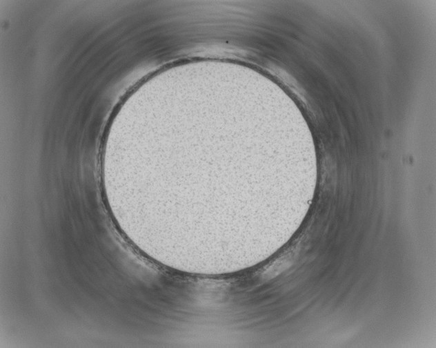 X0000081290848200701251651