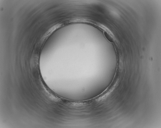 X0000081290849200701251651