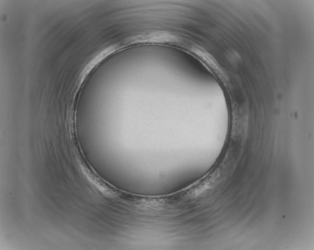 X0000081290850200701251651