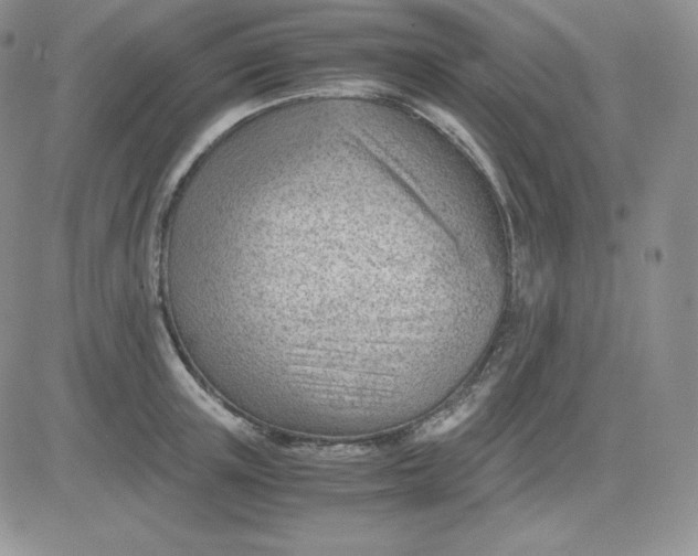 X0000081290851200701251651