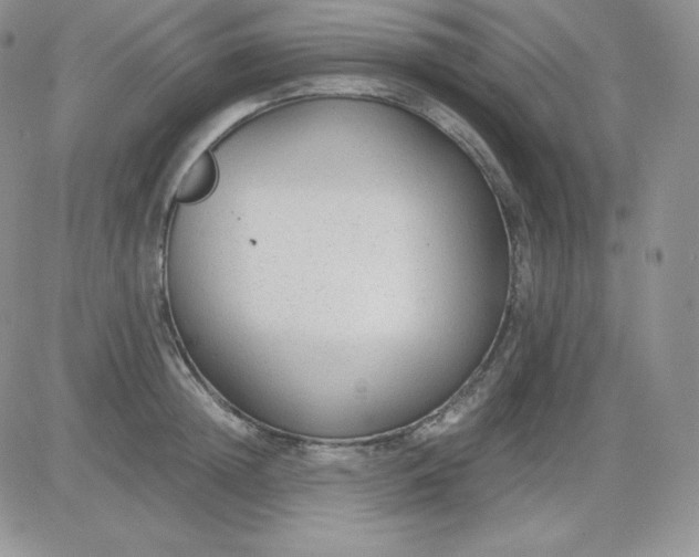 X0000081290852200701251651