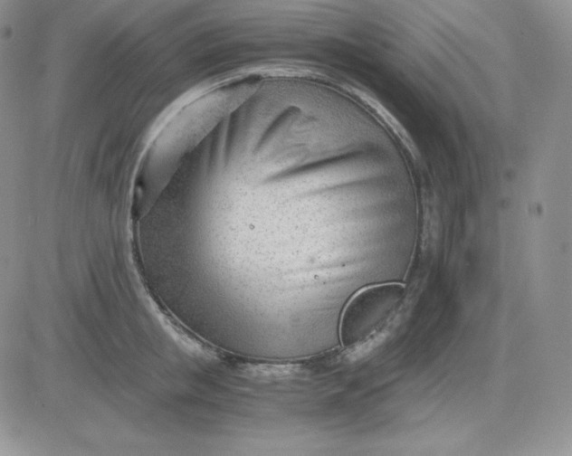 X0000081290853200701251651