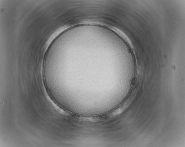 X0000081290855200701251651