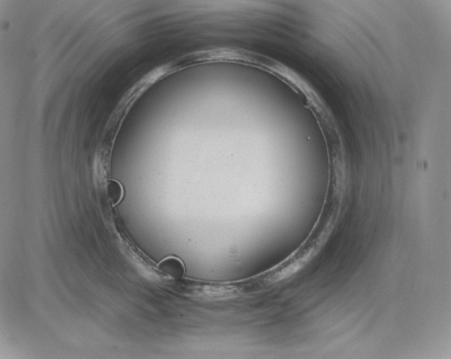 X0000081290857200701251651