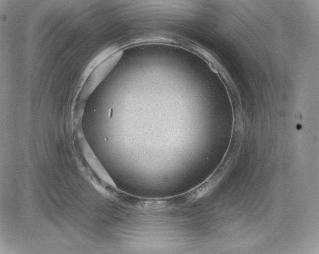 X0000081290858200701251651