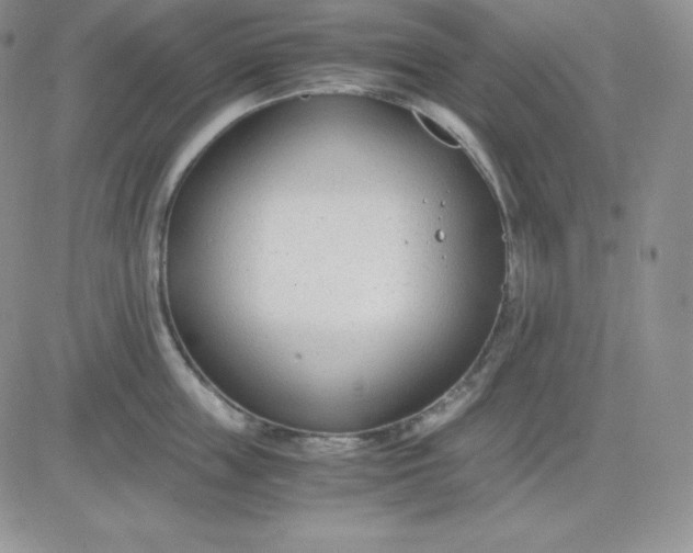 X0000081290859200701251651