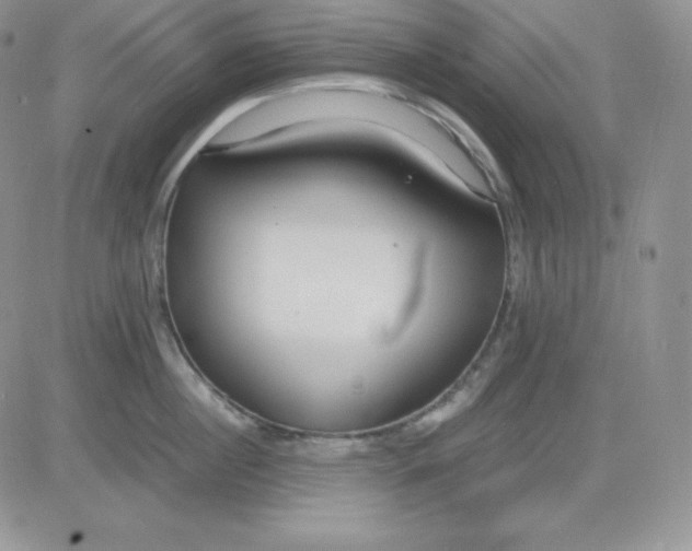 X0000081290860200701251651