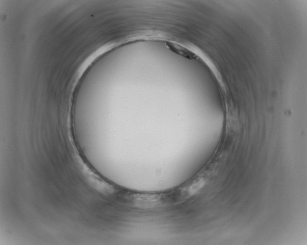 X0000081290861200701251651