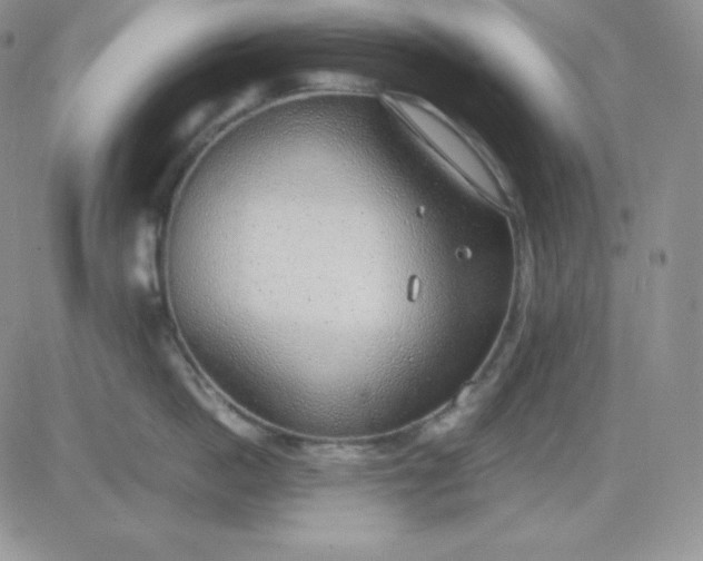 X0000081290862200701251651