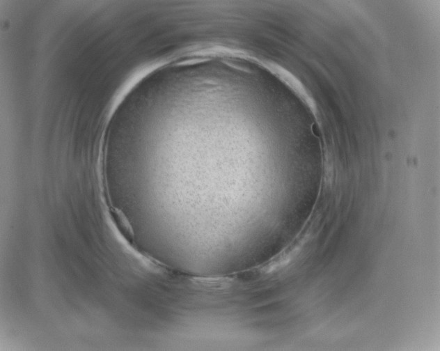 X0000081290863200701251651