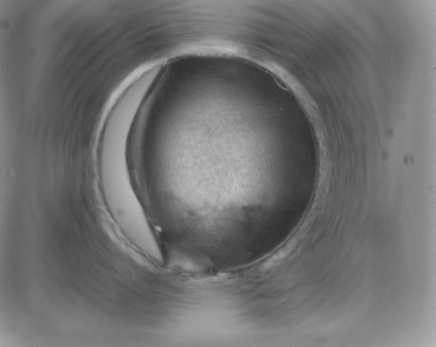 X0000081290864200701251651