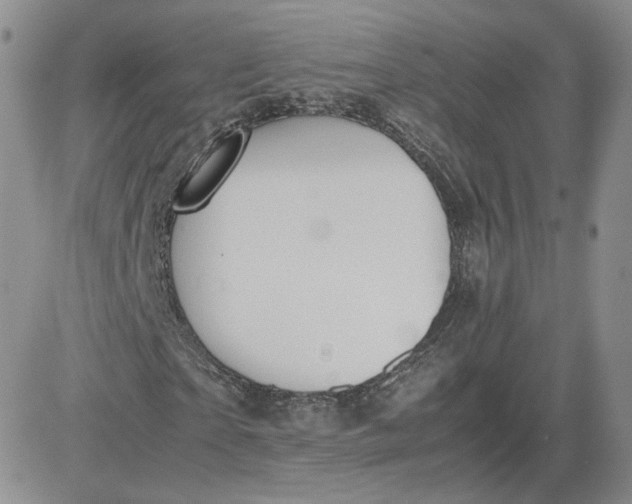 X0000081290865200701251650