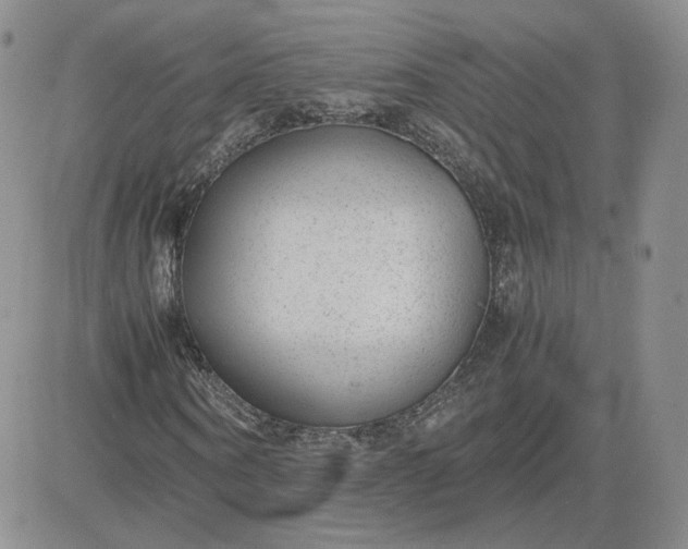 X0000081290866200701251650