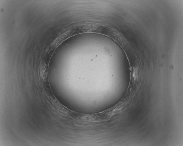 X0000081290867200701251650