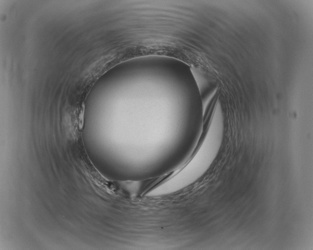 X0000081290868200701251650