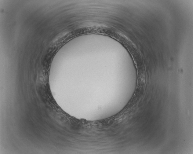 X0000081290869200701251650