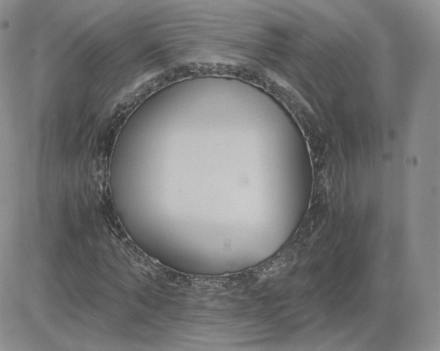 X0000081290870200701251650