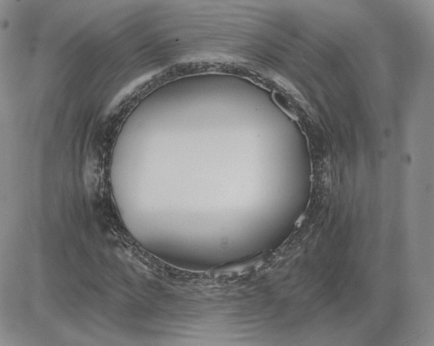 X0000081290872200701251650