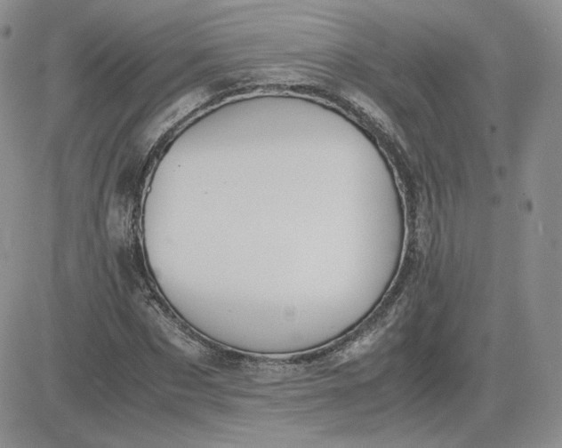 X0000081290873200701251650