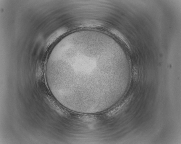 X0000081290874200701251650