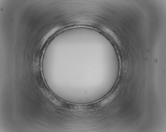 X0000081290875200701251650