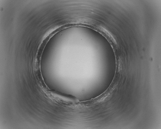 X0000081290876200701251650