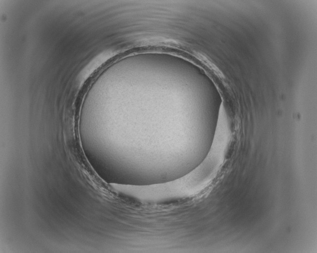 X0000081290877200701251650