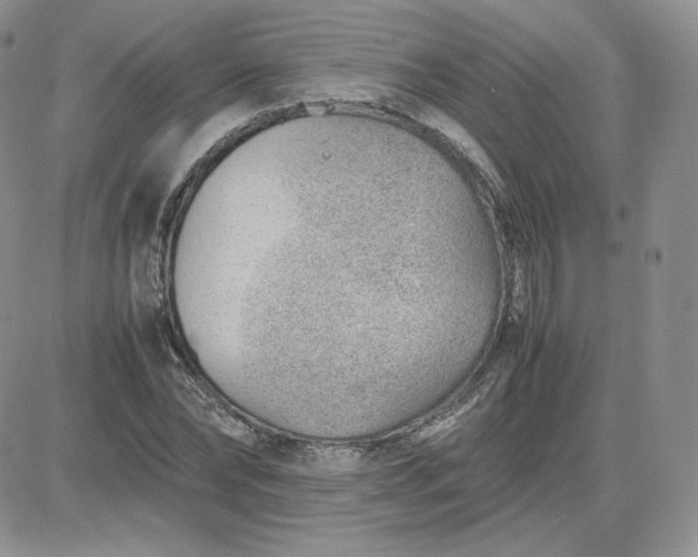 X0000081290878200701251650