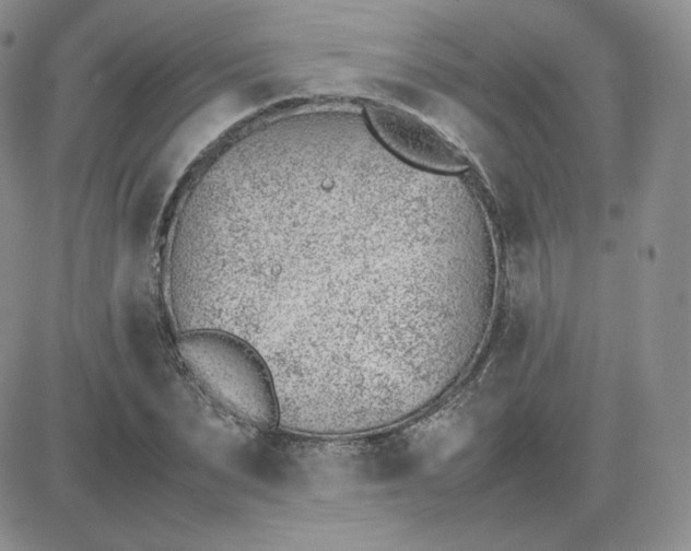 X0000081290879200701251650