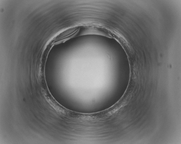 X0000081290880200701251650