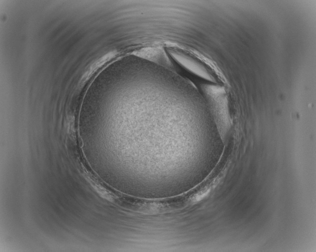 X0000081290881200701251650