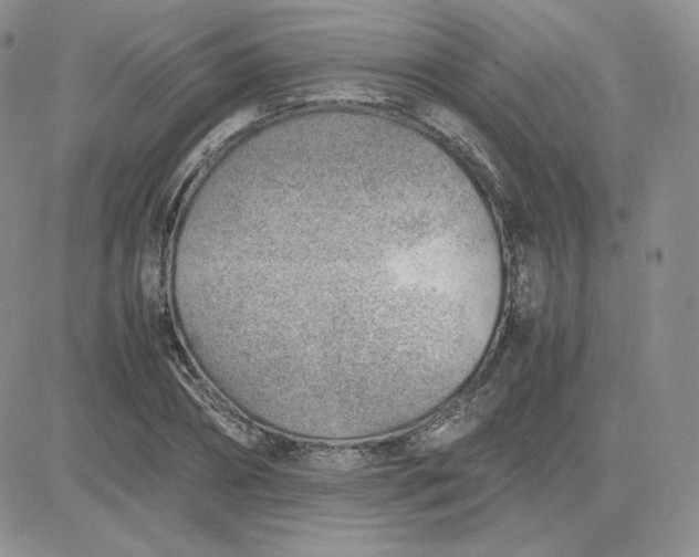 X0000081290882200701251650