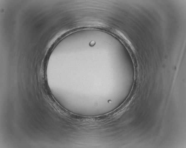 X0000081290883200701251650