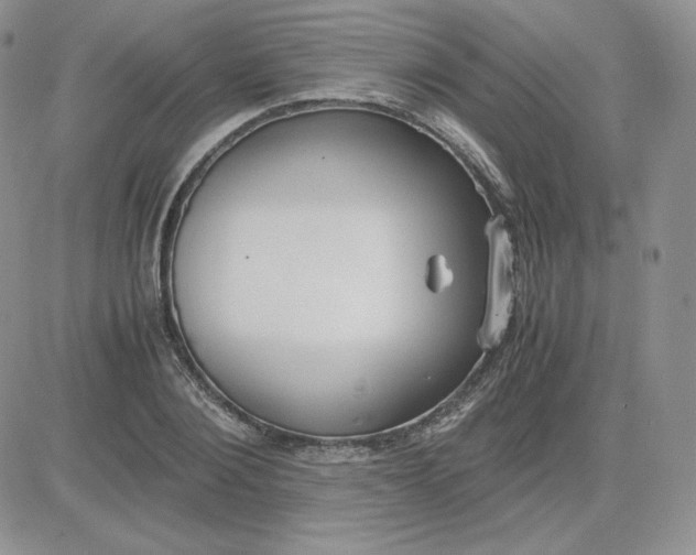 X0000081290884200701251650