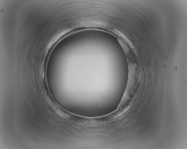 X0000081290885200701251650