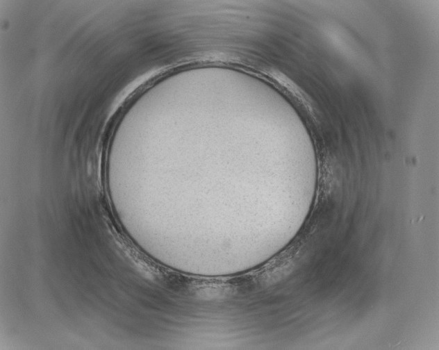 X0000081290886200701251650