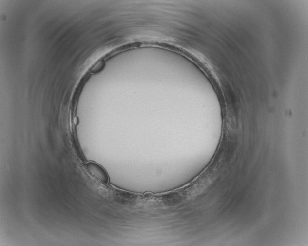 X0000081290887200701251650