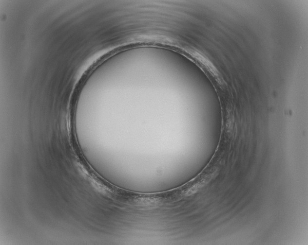 X0000081290888200701251650