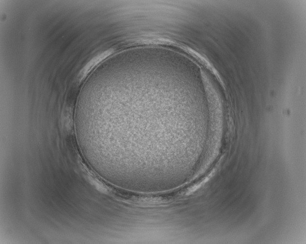 X0000081290889200701251650