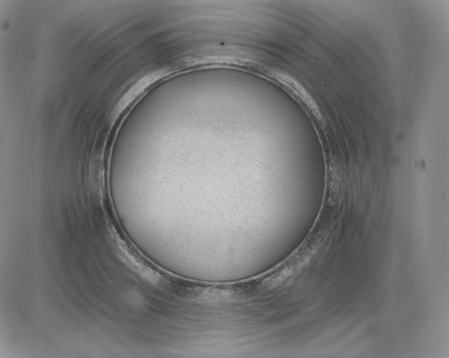 X0000081290890200701251650