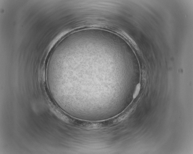 X0000081290891200701251650