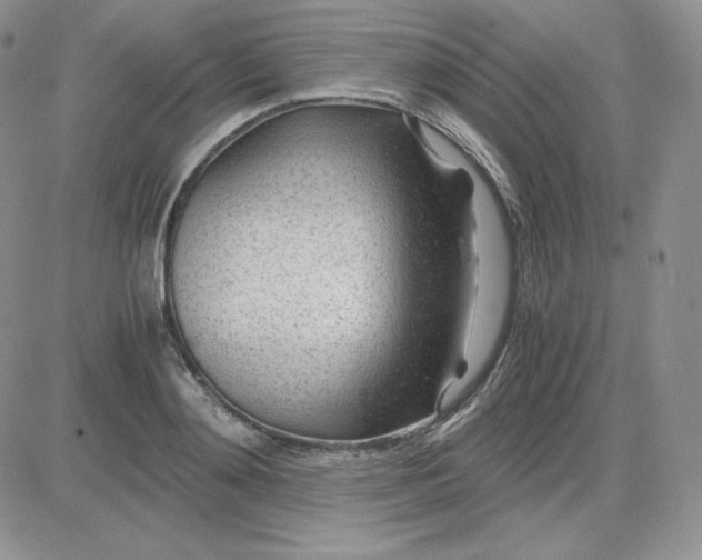 X0000081290892200701251650